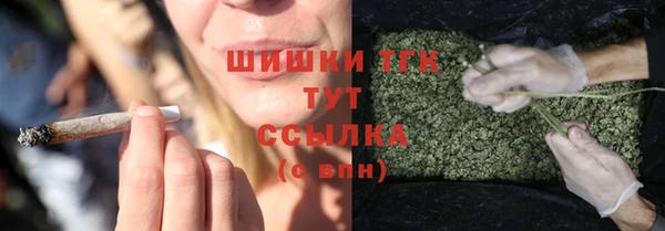 тгк Армянск