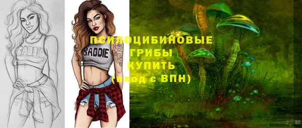 spice Алзамай