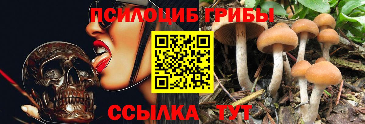 Еманжелинск  Псилоцибиновые грибы GOLDEN TEACHER  Вход с VPN 