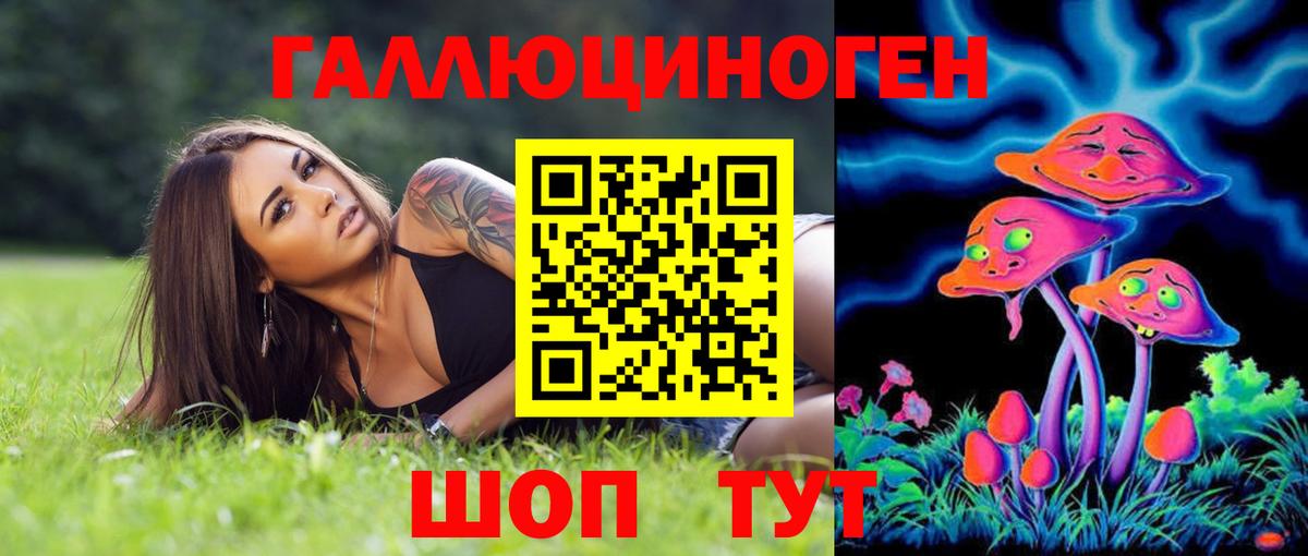 Псилоцибиновые грибы Psilocybe Еманжелинск